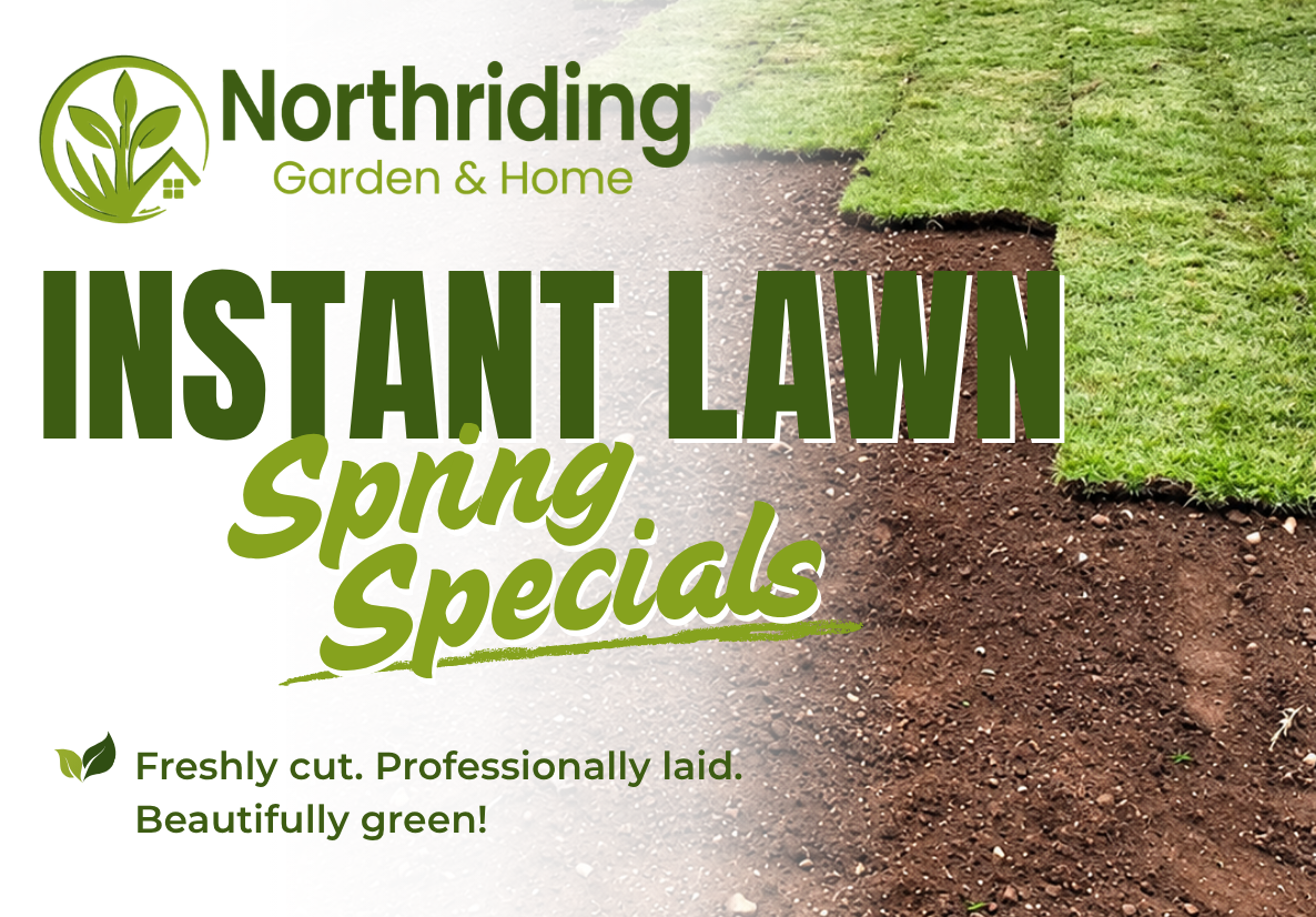 Instant Lawn Special - freshly cut lawn supplied and laid
