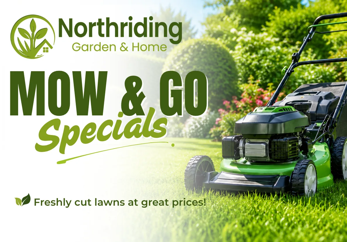 Mow & Go Specials - freshly mowed lawn
