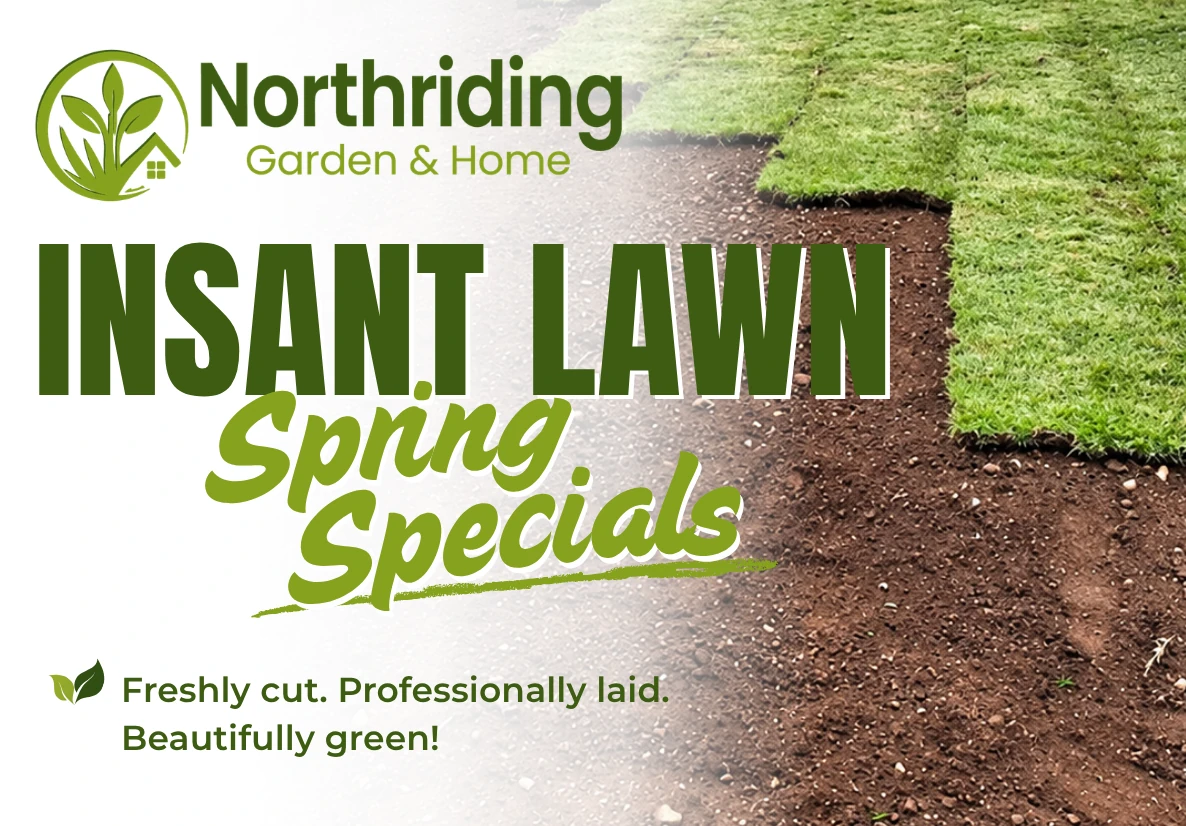 Instant Lawn Special - freshly cut lawn supplied and laid