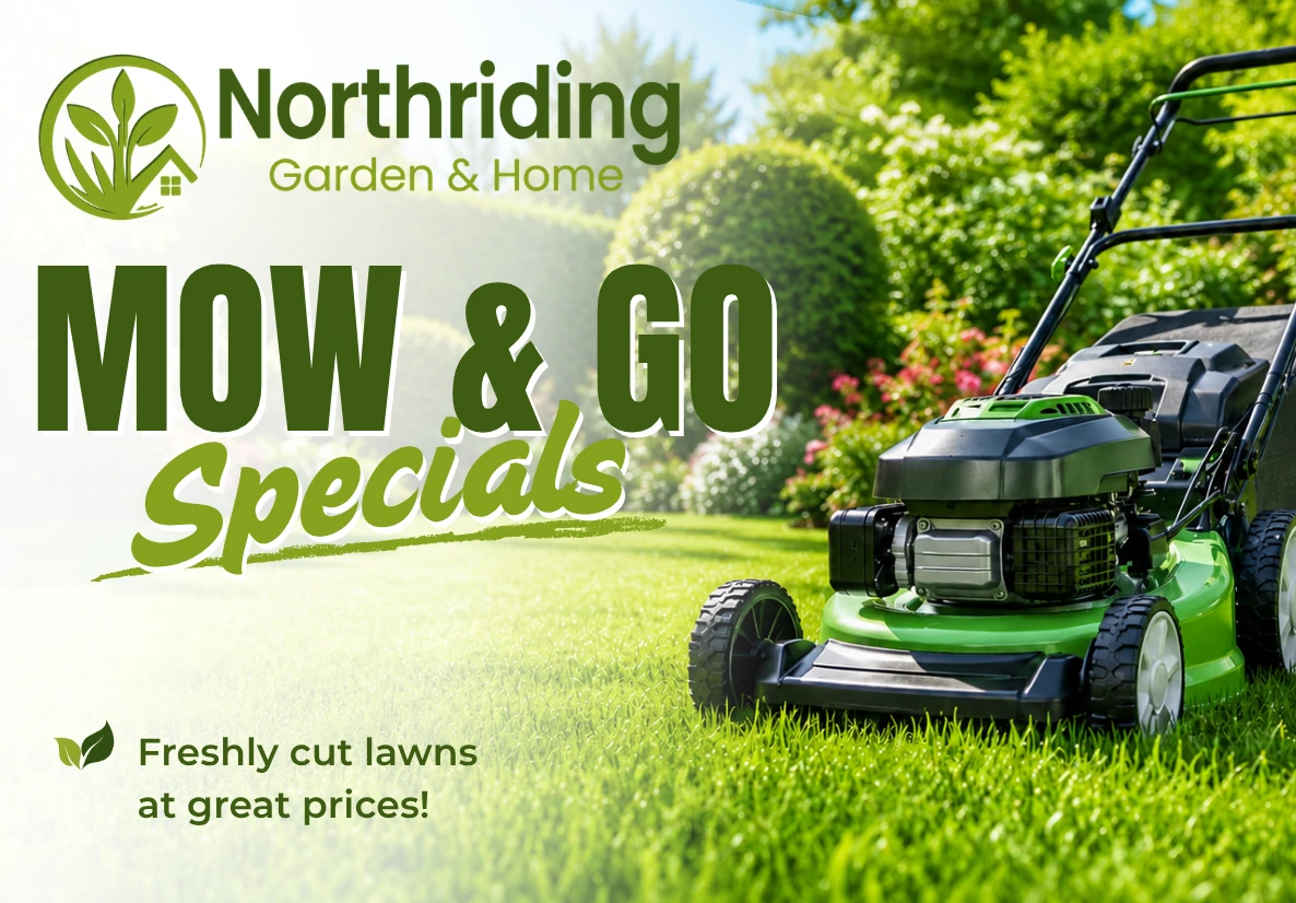 Mow & Go Specials - freshly mowed lawn